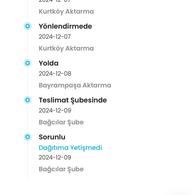 İstanbul İçi Kargo Teslimatında Aşırı Gecikme