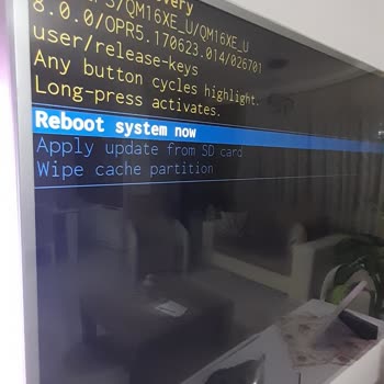 Philips TV Güncelleme Sonrası Ekran Sorunu