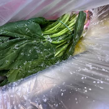 Arçelik Buzdolabı: Sürekli Buzlanma Ve Su Akıtma Sorunu