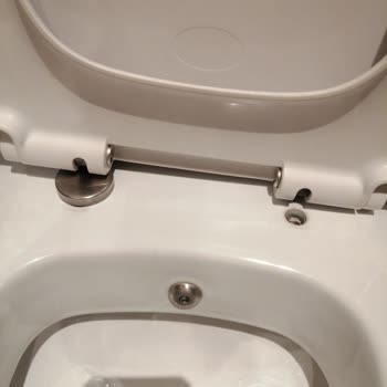 Turkuaz Seramik Klozet Kapak Menteşesi Bulunamıyor