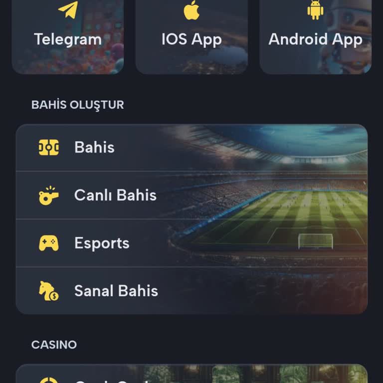 Yatırım Gecikmesi Ve İptal Sorunu