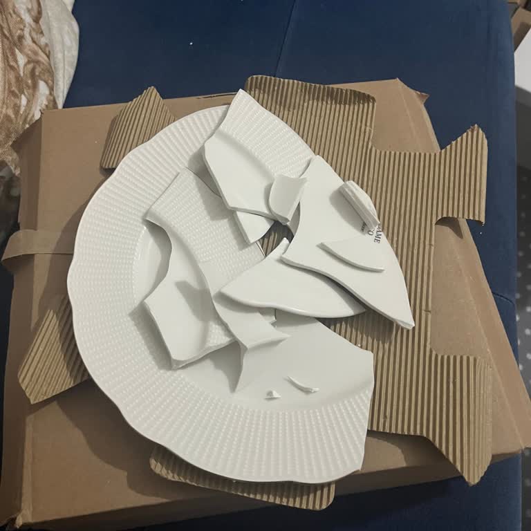 Madame Coco Dinnerware Set Arrived Broken, Replacement Not Provided