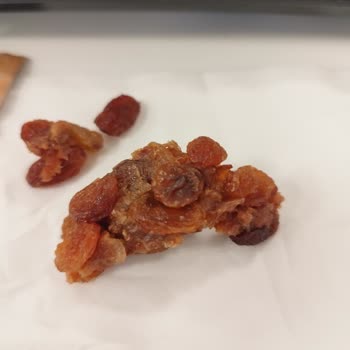 Kuru Üzüm Paketinde Pestil Şoku