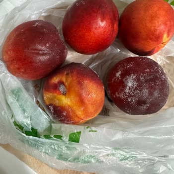 Arçelik Buzdolabı Sorunu: Çözüm Beklerken Mağduriyet Artıyor!