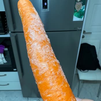 Arçelik Buzdolabı Sorunu: Çözüm Beklerken Mağduriyet Artıyor!