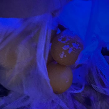 Arçelik Buzdolabı Sorunu: Çözüm Beklerken Mağduriyet Artıyor!