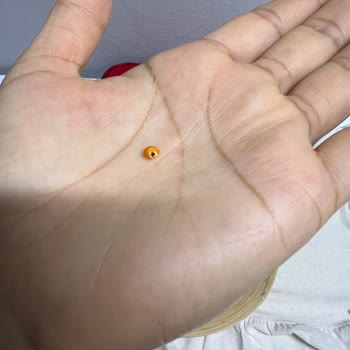 Bayat Mercimekten Çıkan Böcekler Güvenimi Sarstı