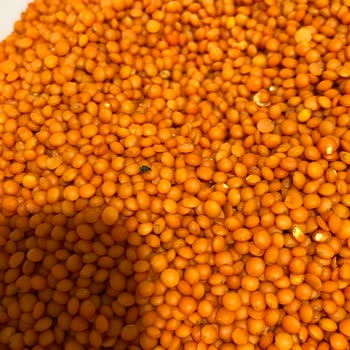 Bayat Mercimekten Çıkan Böcekler Güvenimi Sarstı