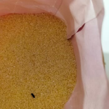 İrmik Paketinde Beklenmedik Misafir