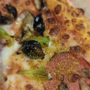 Gece Aç Bırakan Sipariş Deneyimi