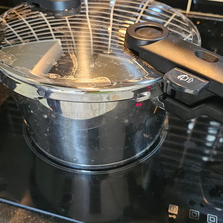 Fissler Vitaquick Düdüklü Tencere Hayal Kırıklığı Ve Müşteri Hizmetleri Sorunu
