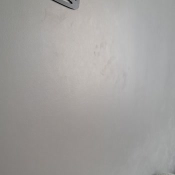 Silinebilir Boya, Silinmiyor: Marshall Maximum'un Hayal Kırıklığı