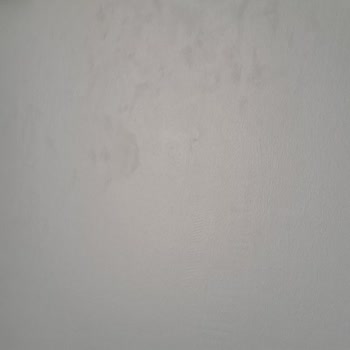 Silinebilir Boya, Silinmiyor: Marshall Maximum'un Hayal Kırıklığı