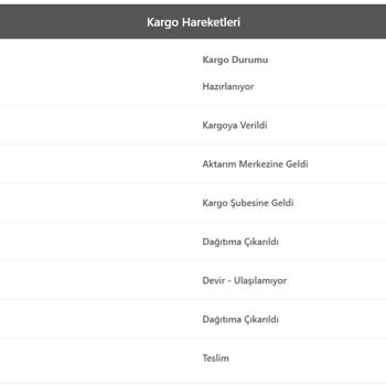 Kayıp Kargo Ve Zara'nın İlgisizliği