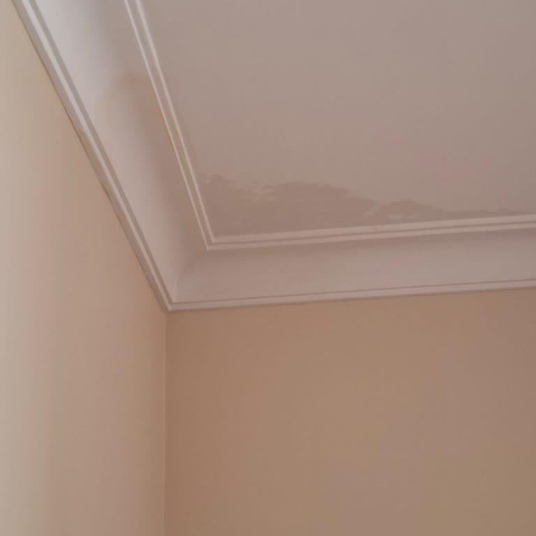 Allianz Sigorta Hasar Ödemesi Yapmıyor