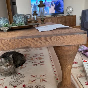 Pinkhome Mağazasında Paketleme Sorunu Ve Kaba Davranış
