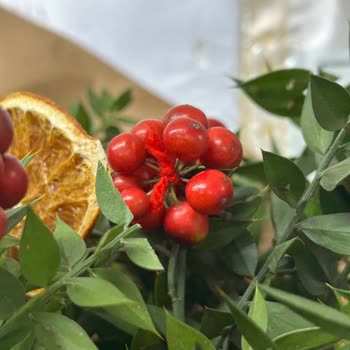 Taze Çiçek | Tazecicek.com Kokina Buket Çiçeği Hayal Kırıklığı: Gerçek Çiçek Beklentisi Boşa Çıktı