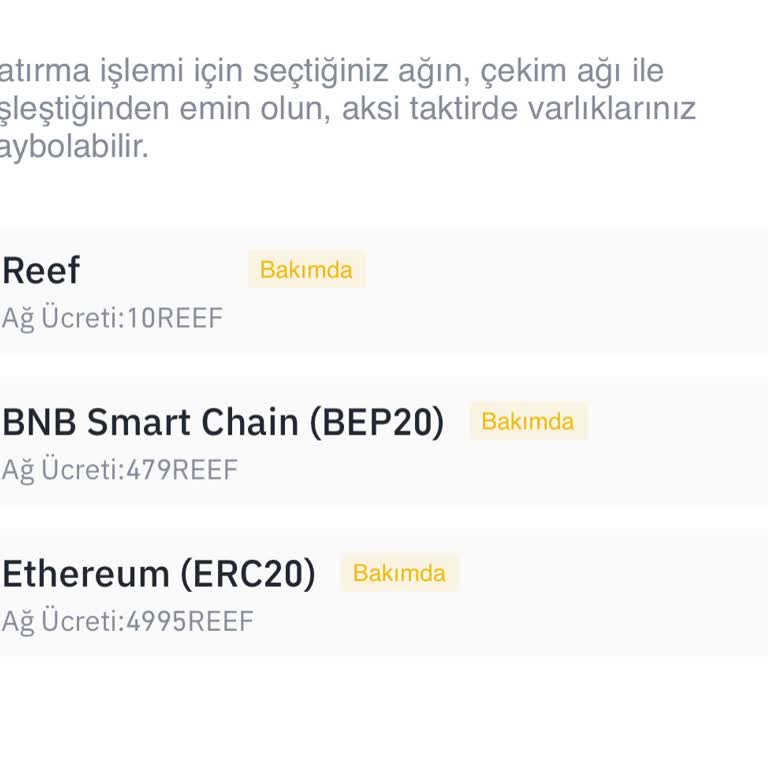 Binance TR'de Sürekli Bakım Sorunu: Reef Çekememe