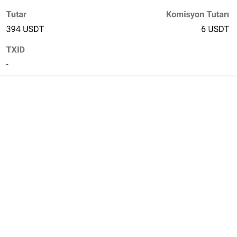 USDT Transferinde Yaşanan Gecikme Ve Mağduriyet