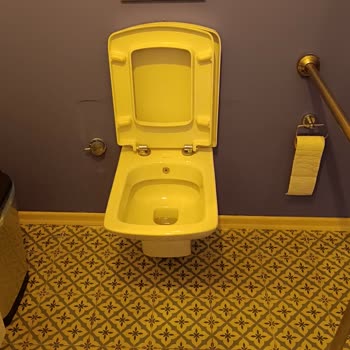 Yedek Parça Sıkıntısı: İsvea Klozet Kapağı Menteşesi