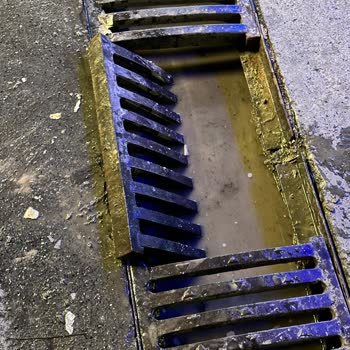 Opet'teki Mazgal Sorunu Ve Nezaketsiz Hizmet