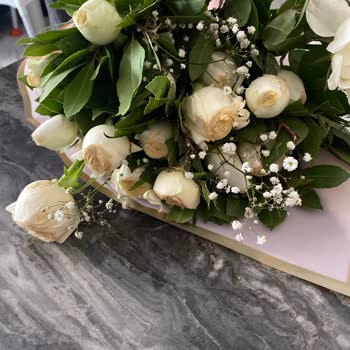 Solmuş Güller Ve Dikkatsiz Paketleme