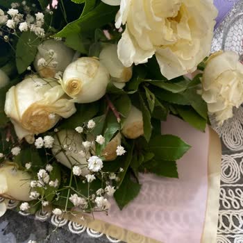 Solmuş Güller Ve Dikkatsiz Paketleme