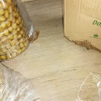 Gurme Market Balçıklaşmış Zeytin Kabusu