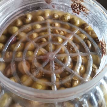 Gurme Market Balçıklaşmış Zeytin Kabusu