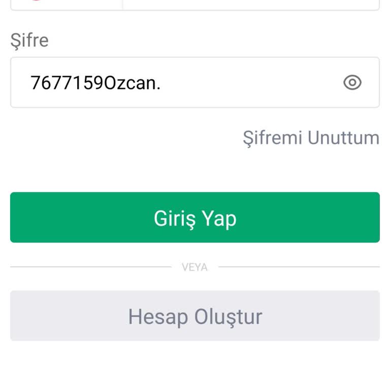 Bitci Platformunda Sürekli Karşılaşılan Giriş Sorunu