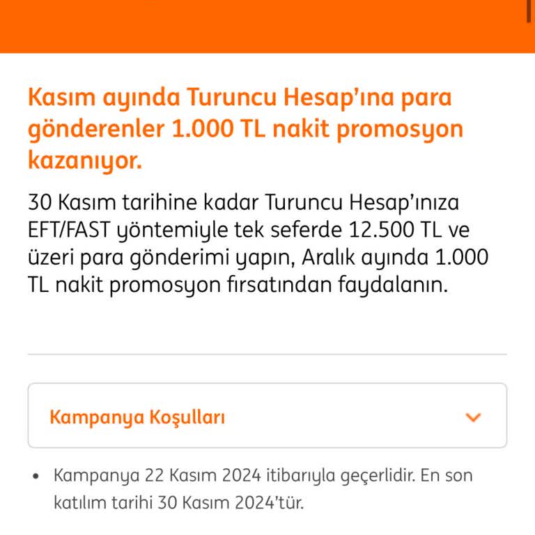 ING Kampanya Promosyonunun Hesaba Yatırılmaması