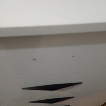 Evkur'dan Aldığım Hasarlı Ürünler Ve İade Sorunları