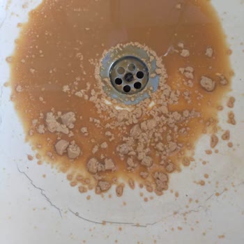 Tarihi Geçmemiş Üründe Bozulma: Sek Laktozsuz Latte Hayal Kırıklığı