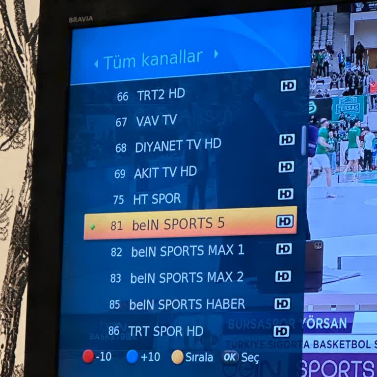 Digiturk Yayın Sorunu: Sinyal Eksikliği Ve Erişim Problemi