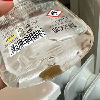 Bee Beauty Kolonyasında Şaşırtan Cisim