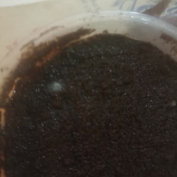 BİM'den Aldığım Küflü Tiramisu Şoku