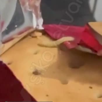 A101 Xroll Sandviç Bisküvi Kurtlu Çıktı