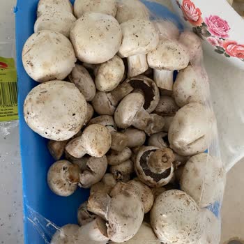 BİM'den Aldığım Üründe Tazelik Sorunu