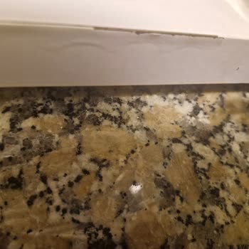 Arçelik Mikrodalga Fırın Kalite Sorunu