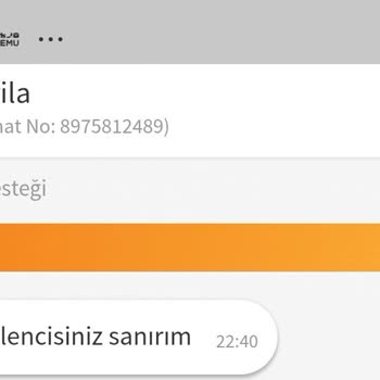 Yanıltıcı Ürün Bilgisi Ve Satıcı Tehditleri