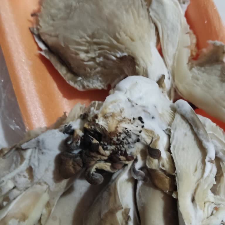 Bozuk Ürün Ve İlgisiz Müşteri Hizmeti