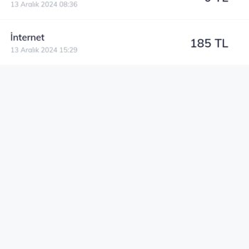 Yüklenen TL'nin Aniden İnternete Gitmesi