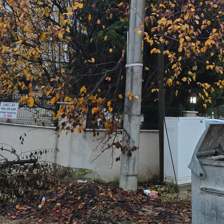 İnternet Hizmetinde Çözülmeyen Altyapı Sorunu