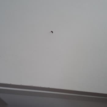 Çetin Ranza Kurulumunda Güvenlik Sorunu Ve Müşteri Hizmetleri Problemi