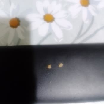 Nutella'da Şok Eden Yabancı Madde Sorunu