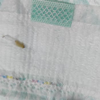 Prima Aktif Bebek 6 Numara Üründe Güve Şoku