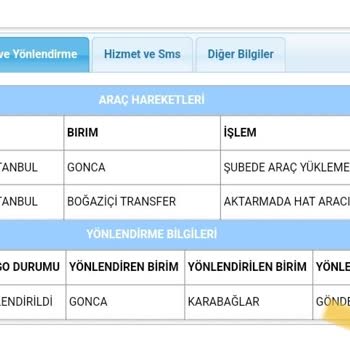 Kargo Kaosu: Ürün Yolda Ama Asla Ulaşmıyor