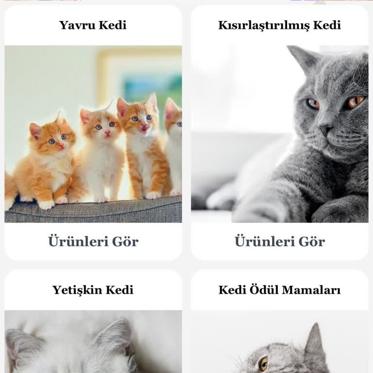 Mamasepetimde.com: Yanıltıcı Siteye Karşı Uyarı