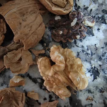 Fahiş Fiyatlı Düşük Kalite: Tuğba Kuruyemiş Cevizleri