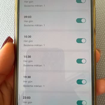 Otomatik Mama Kabı Ve Kamera Sorunları